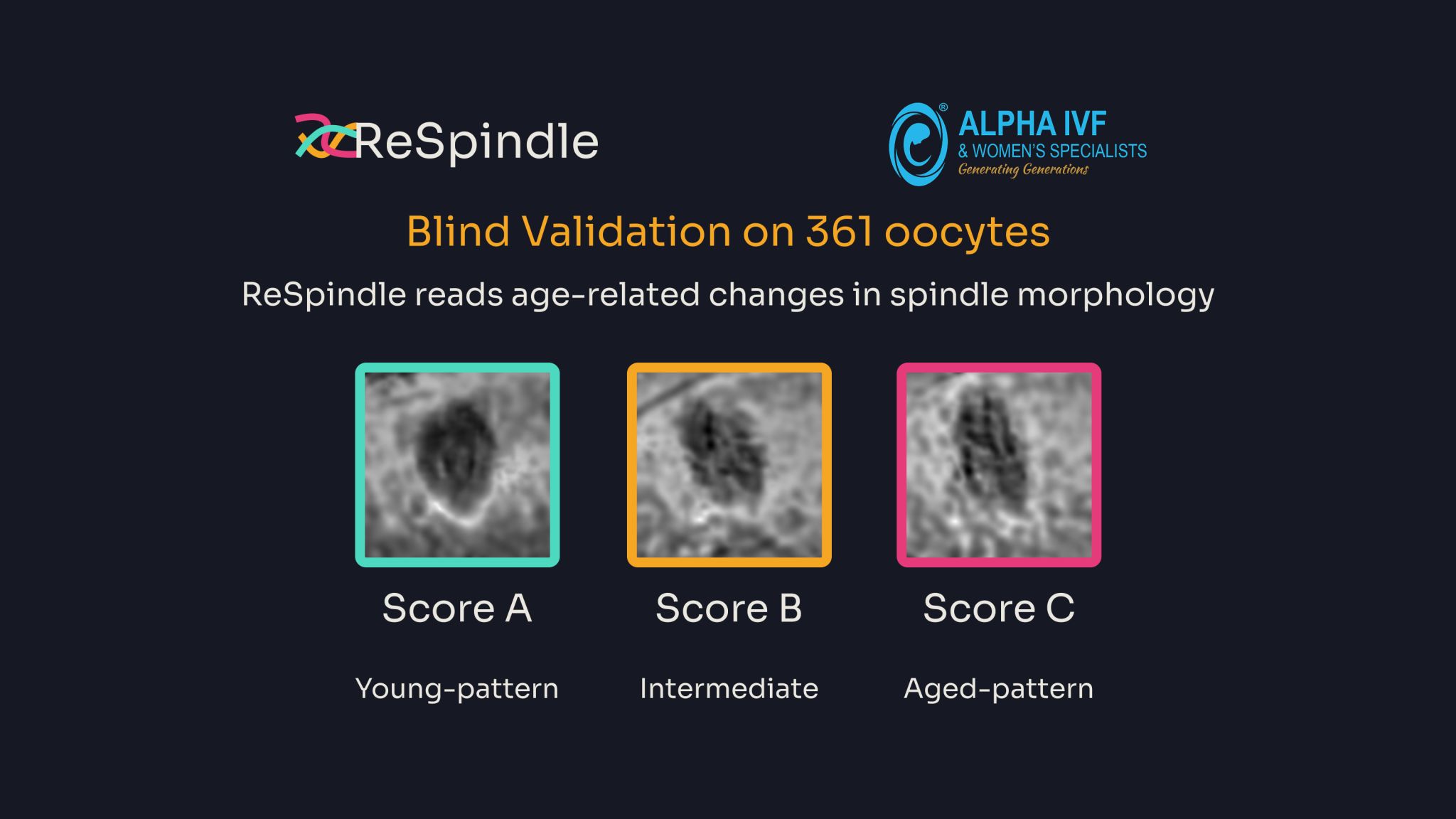 ReSpindle blind validation on 361 oocytes with Alpha IVF Group