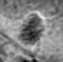 Polarimetric signature
